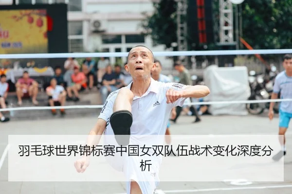 羽毛球世界锦标赛中国女双队伍战术变化深度分析