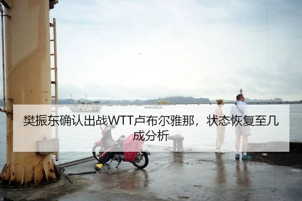 樊振东确认出战WTT卢布尔雅那，状态恢复至几成分析