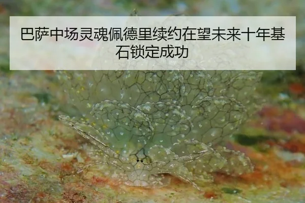 ba-sa-zhong-chang-ling-hun-pei-de-li-xu-yue-zai-wang-wei-lai-shi-nian-ji-shi-suo-ding-cheng-gong-3-922.jpg
